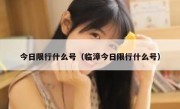 今日限行什么号（临漳今日限行什么号） 