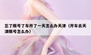 忘了限号了车开了一天怎么办天津（开车去天津限号怎么办）