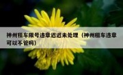 神州租车限号违章迟迟未处理（神州租车违章可以不管吗） 