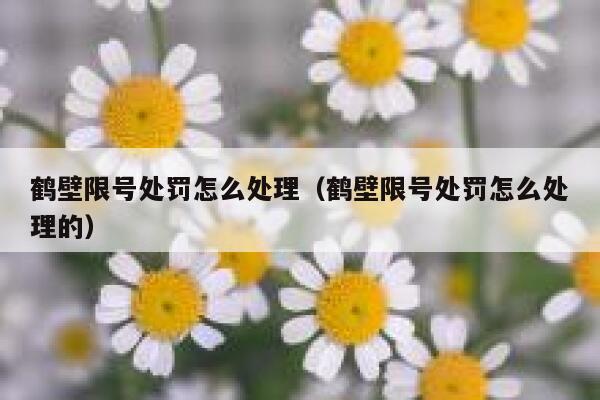 鹤壁限号处罚怎么处理（鹤壁限号处罚怎么处理的） 第1张