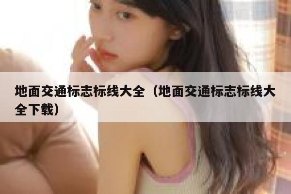 地面交通标志标线大全（地面交通标志标线大全下载） 第1张