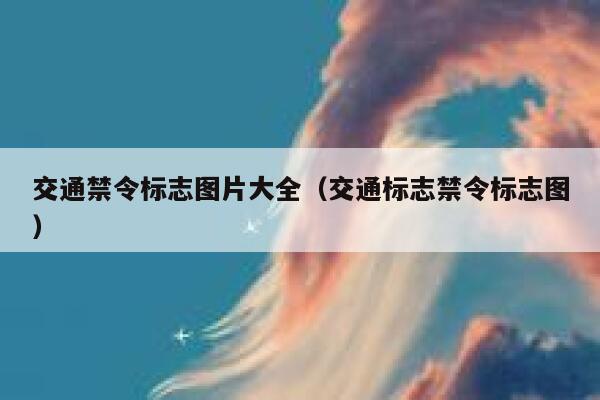 交通禁令标志图片大全（交通标志禁令标志图） 第1张