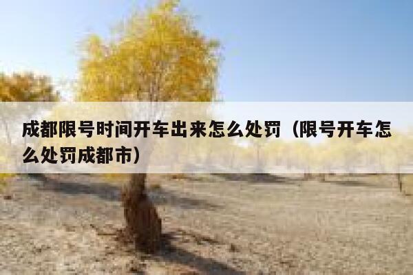 成都限号时间开车出来怎么处罚（限号开车怎么处罚成都市） 第1张