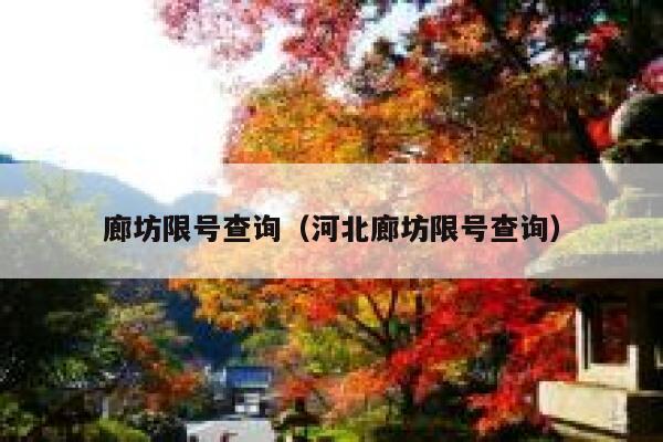 廊坊限号查询（河北廊坊限号查询） 第1张