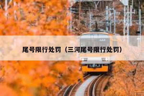 尾号限行处罚（三河尾号限行处罚） 第1张