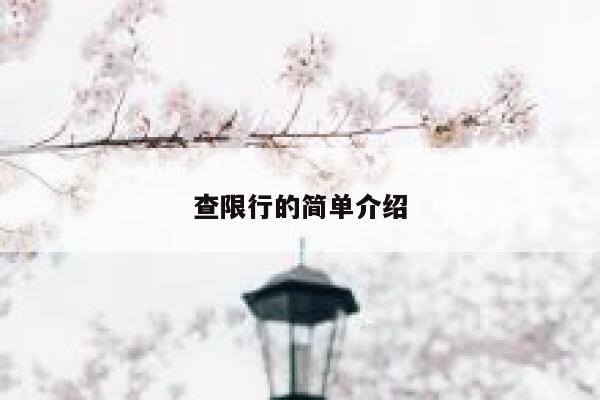 查限行的简单介绍 第1张