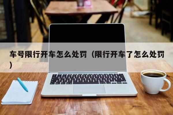 车号限行开车怎么处罚（限行开车了怎么处罚） 第1张