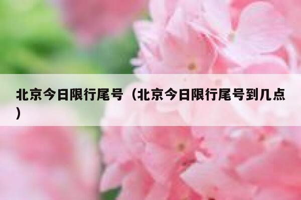 北京今日限行尾号（北京今日限行尾号到几点） 第1张