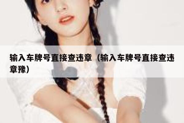 输入车牌号直接查违章（输入车牌号直接查违章豫） 第1张