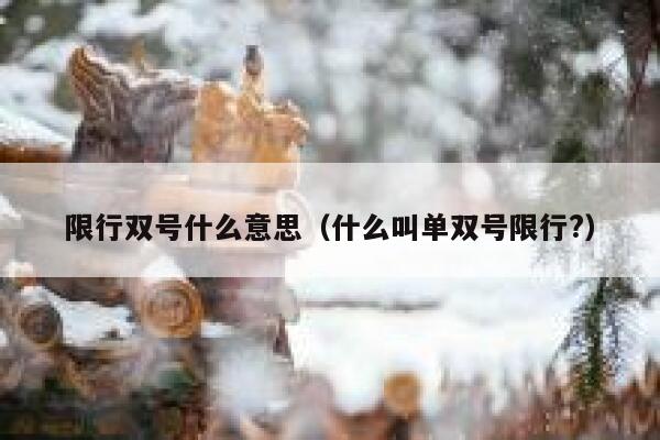 限行双号什么意思（什么叫单双号限行?） 第1张