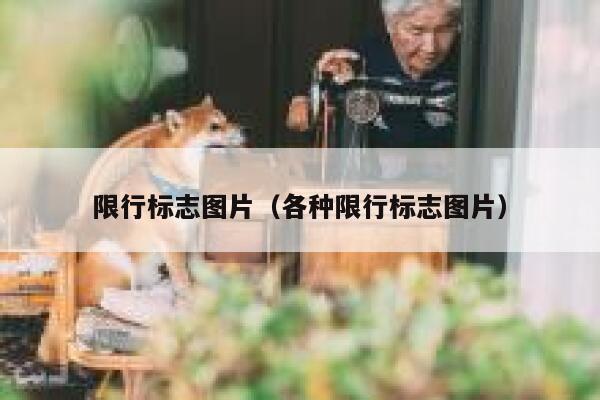限行标志图片（各种限行标志图片） 第1张