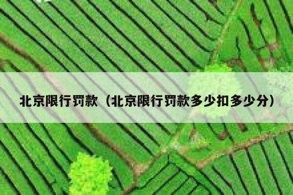 北京限行罚款（北京限行罚款多少扣多少分） 第1张