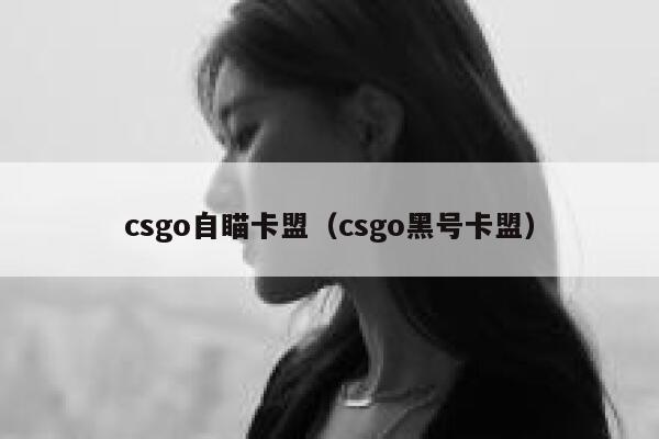 csgo自瞄卡盟（csgo黑号卡盟） 第1张