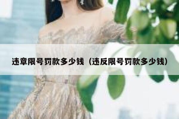 违章限号罚款多少钱（违反限号罚款多少钱） 第1张