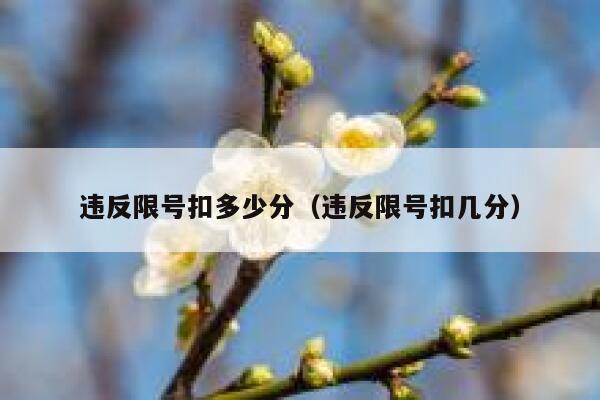 违反限号扣多少分（违反限号扣几分） 第1张