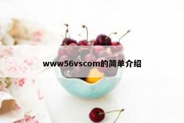 www56vscom的简单介绍 第1张