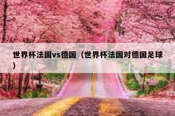 世界杯法国vs德国（世界杯法国对德国足球） 第1张
